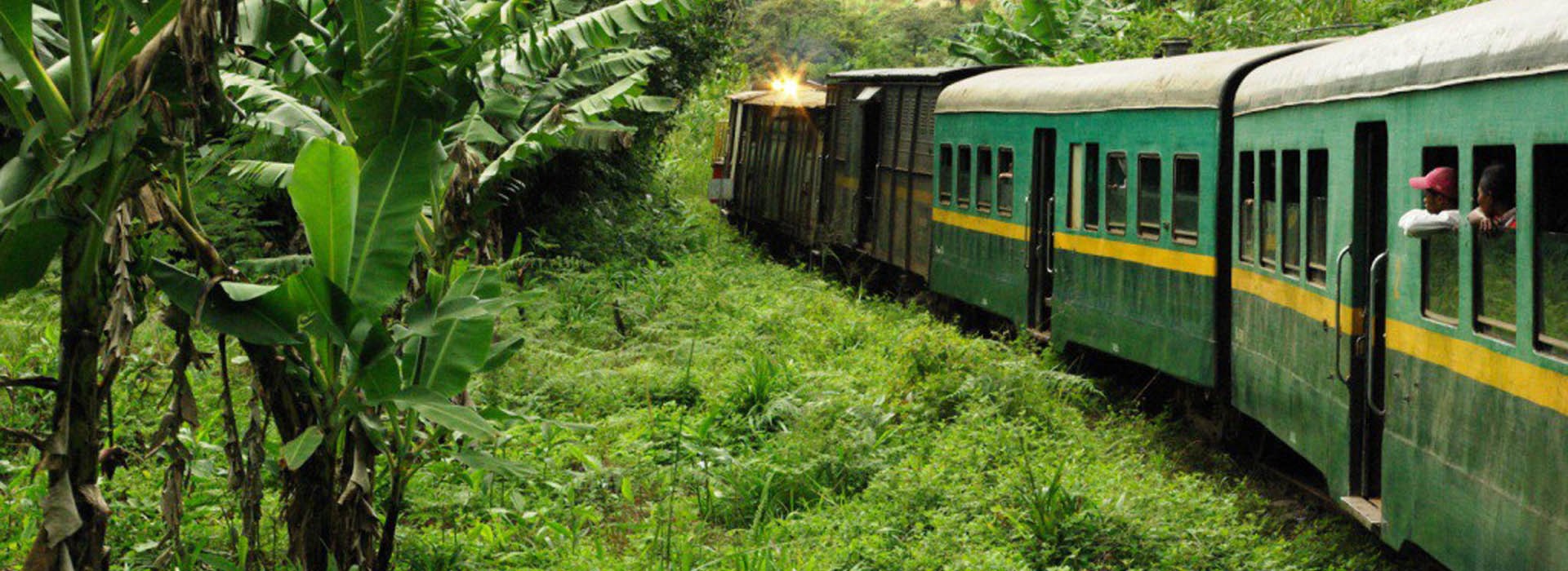 Visiter Le petit train de la côte est - Madagascar