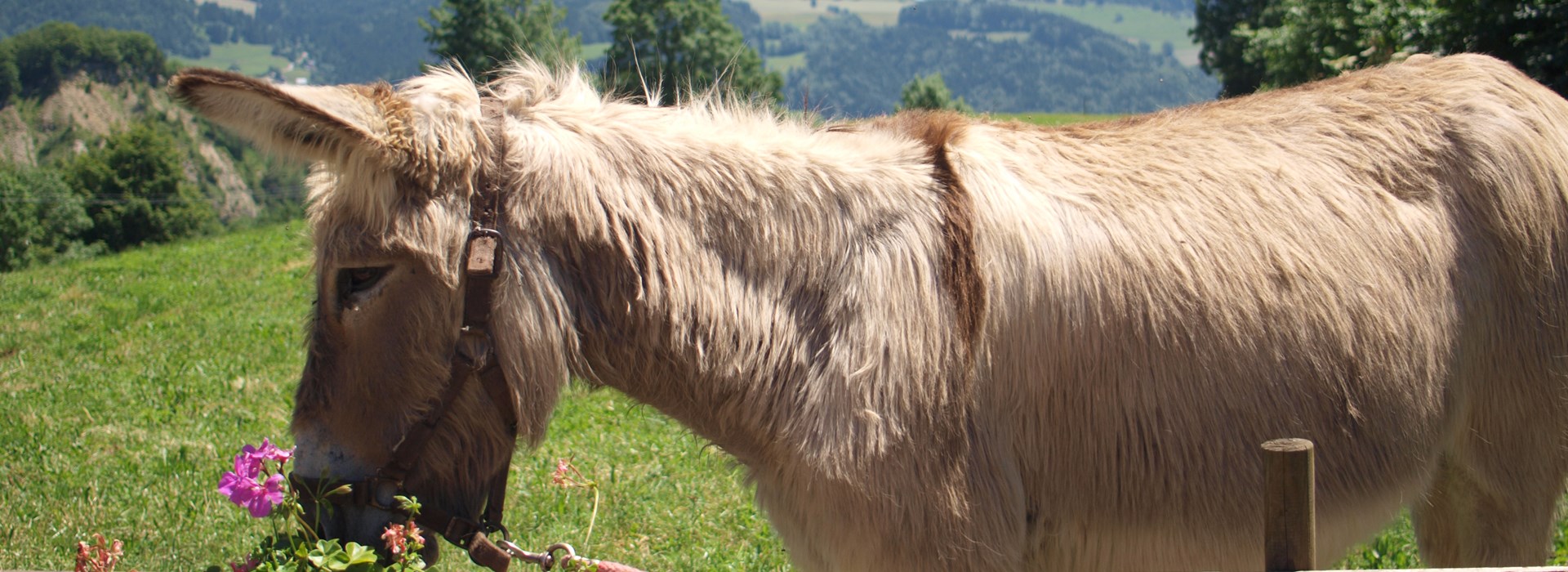 Visiter Martenons - Rhône-Alpes