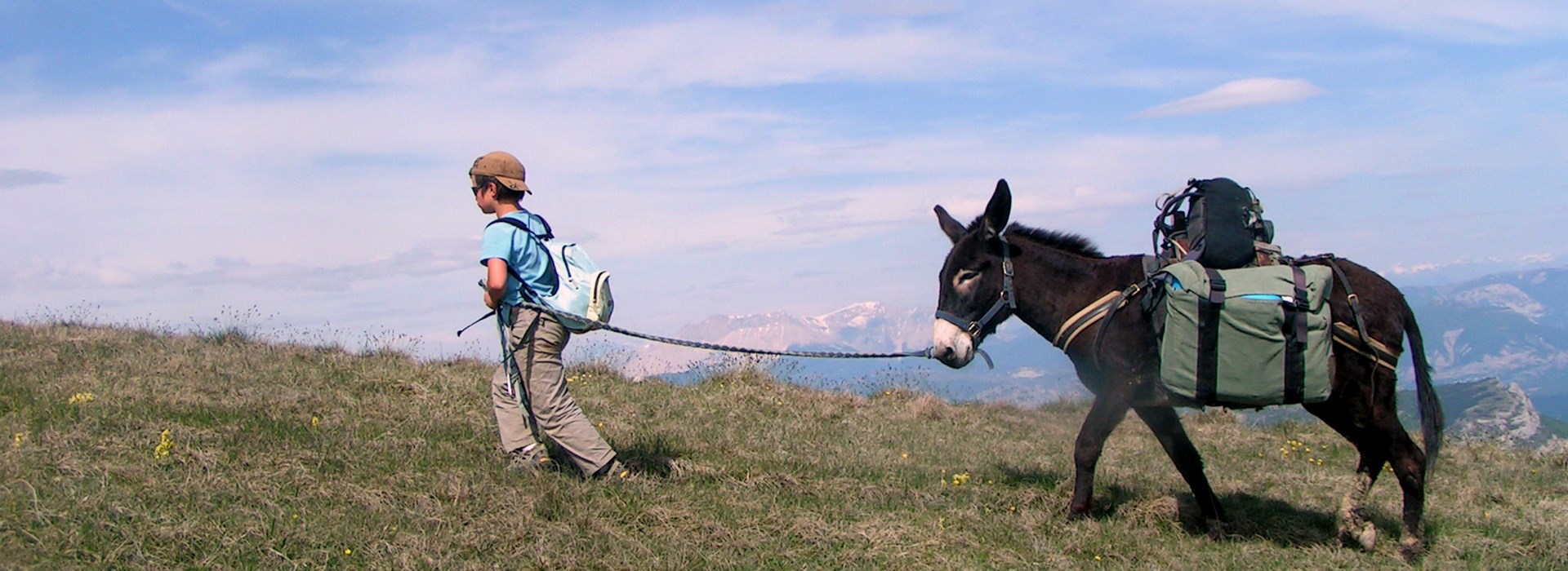 Visiter Le Vercors en randonnée avec des ânes - Rhône-Alpes