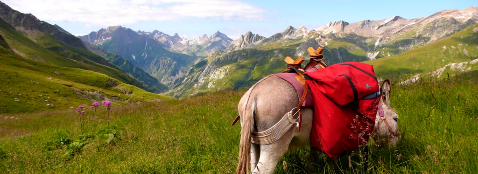 Visiter Le col de la Seigne - Rhône-Alpes