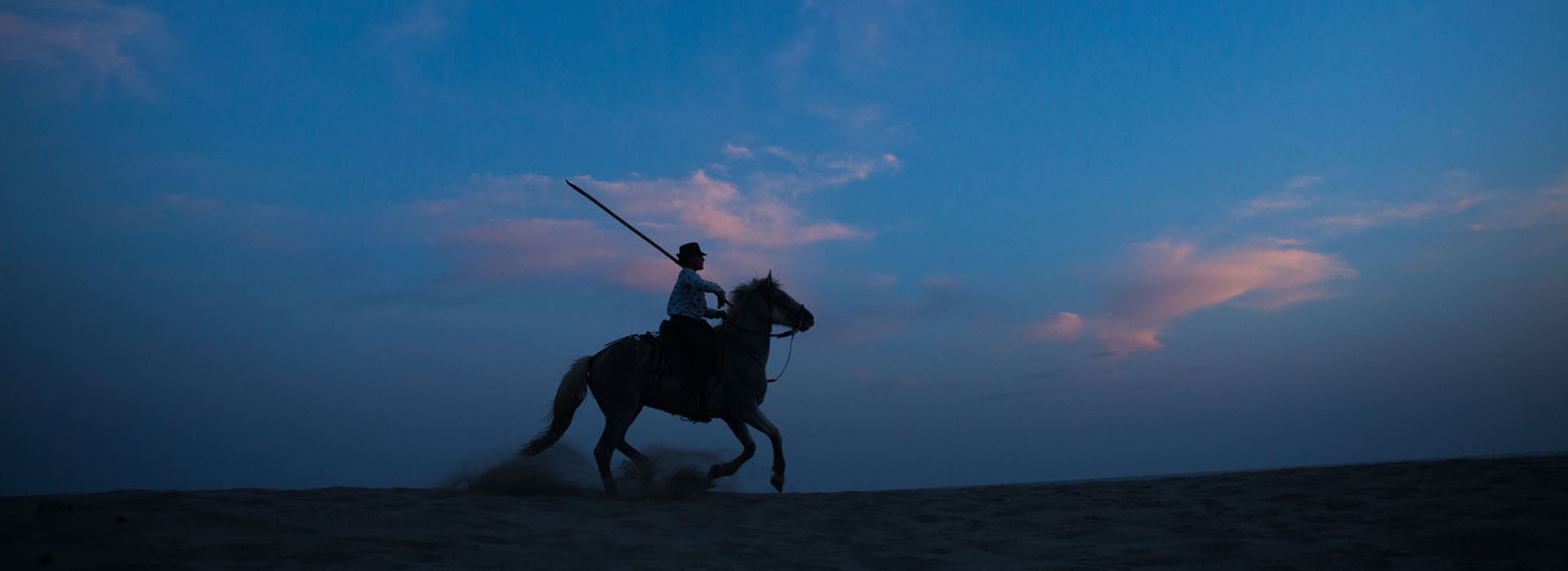 Visiter La Camargue - Occitanie