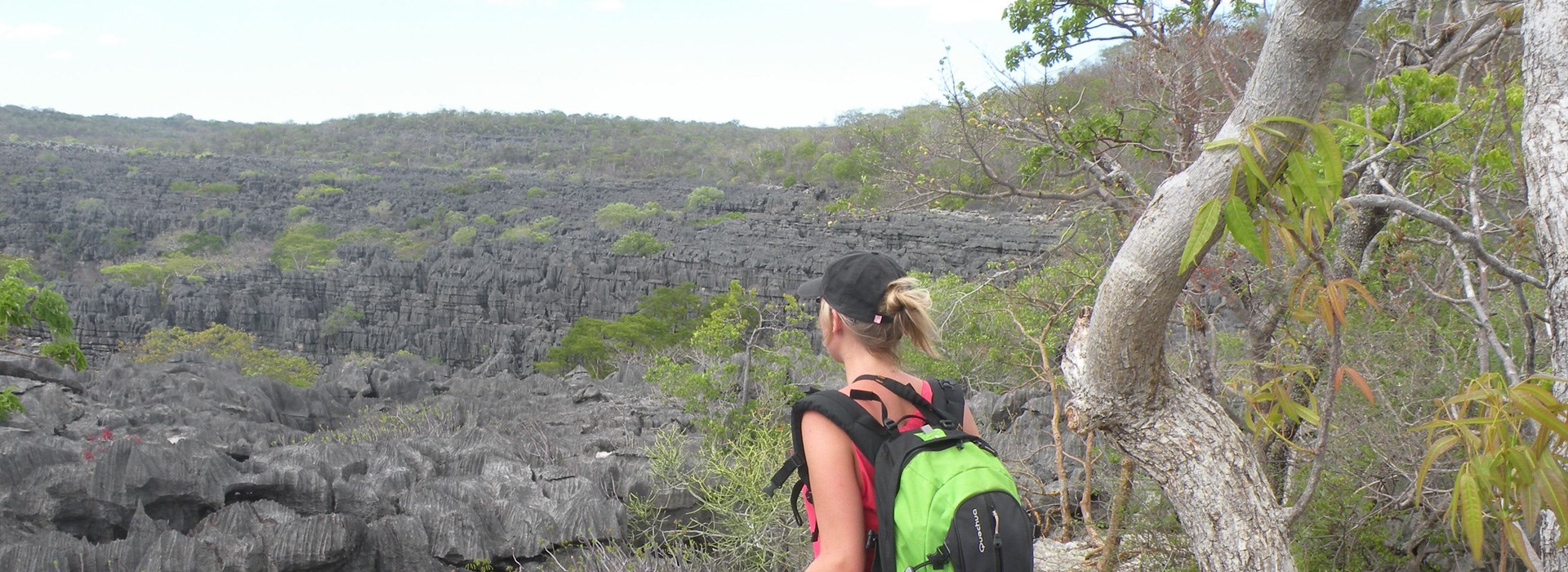 Visiter Le parc national des Tsingy de Bemaraha - Madagascar