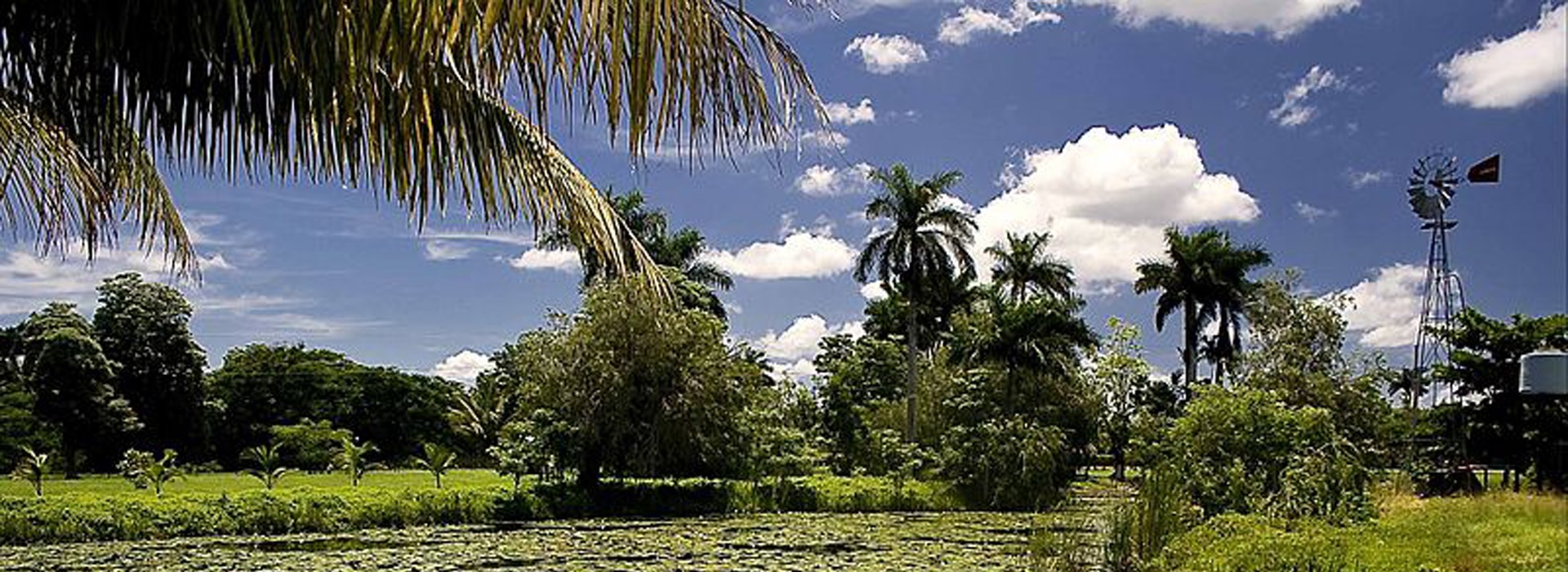 Visiter Cienaga de Zapata - Cuba