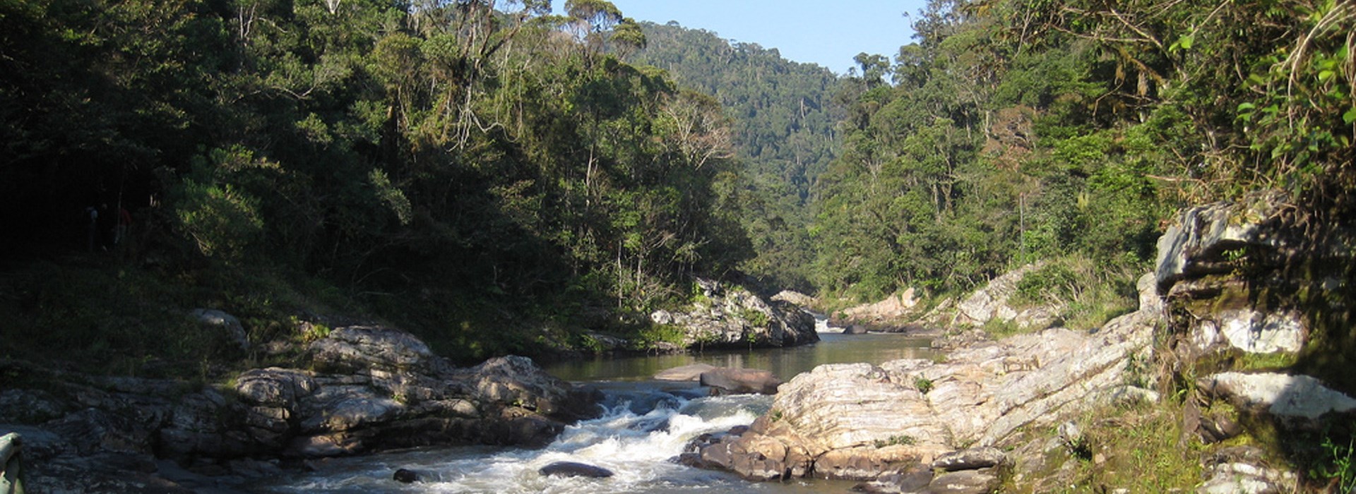 Visiter Le Parc de Ranomafana - Madagascar