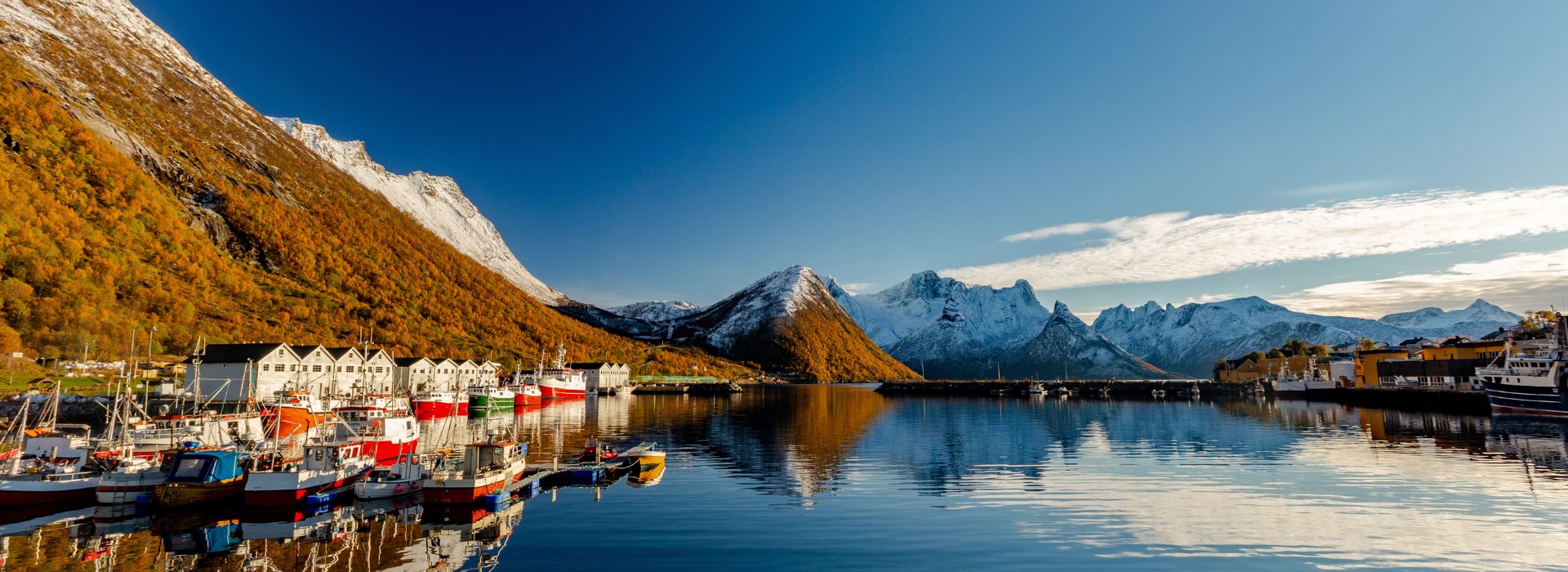 Visiter L'île de Senja en randonnée raquettes - Norvège