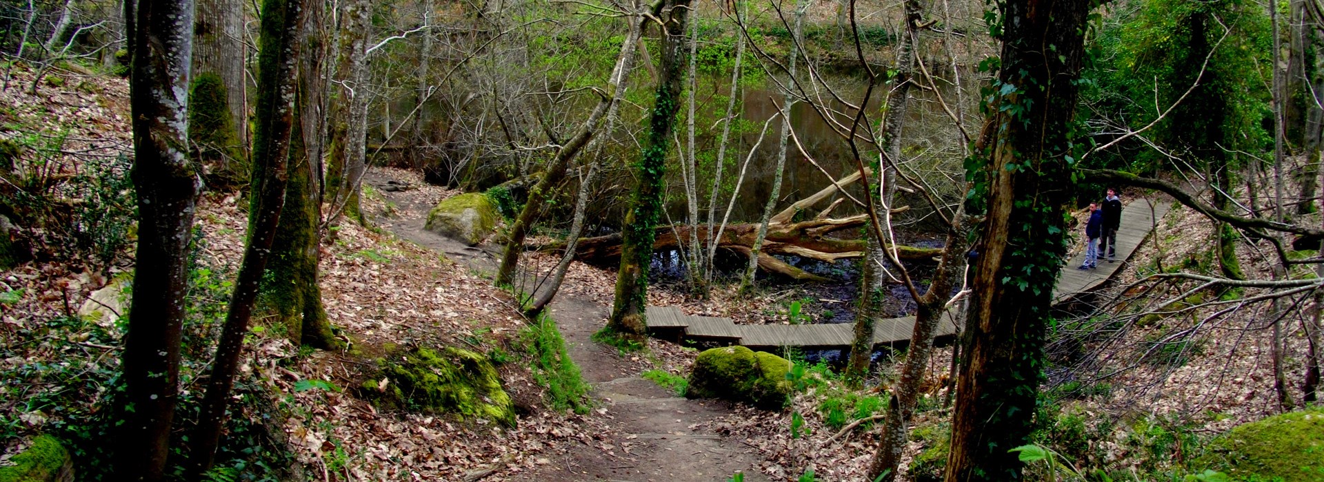 Visiter La vallée de Traouïero - Bretagne