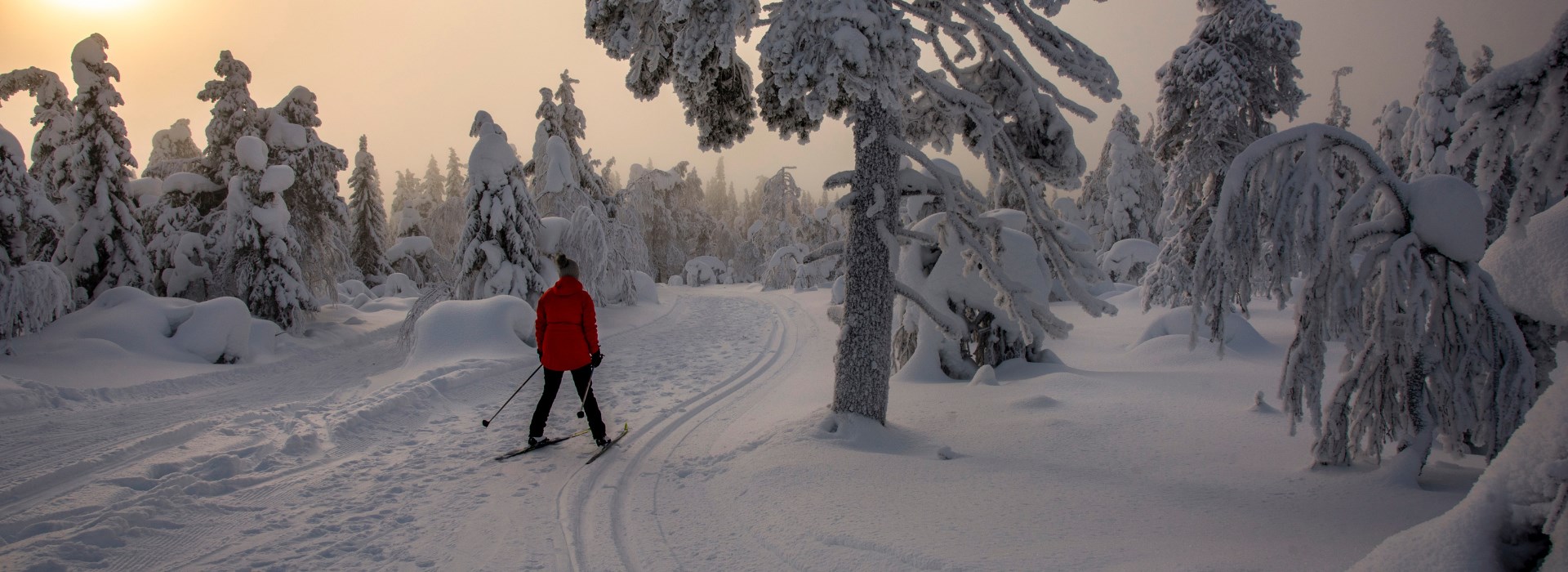 Visiter La Laponie en randonnée ski nordique - Laponie