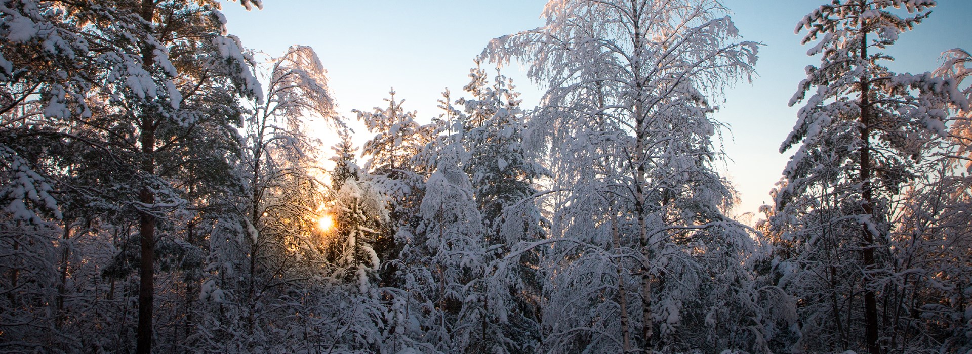 Visiter Lulea - Laponie