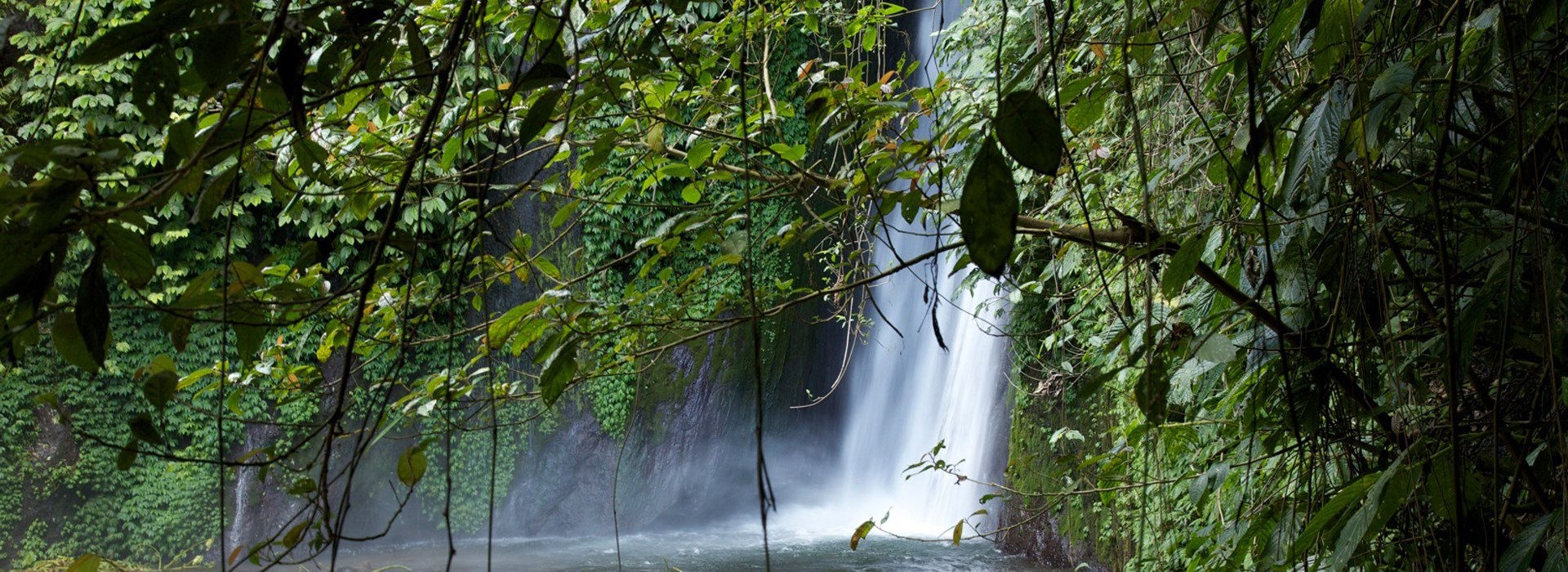 Visiter Munduk - Indonesie