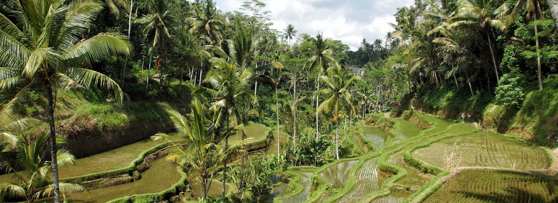 Visiter Ubud - Indonesie