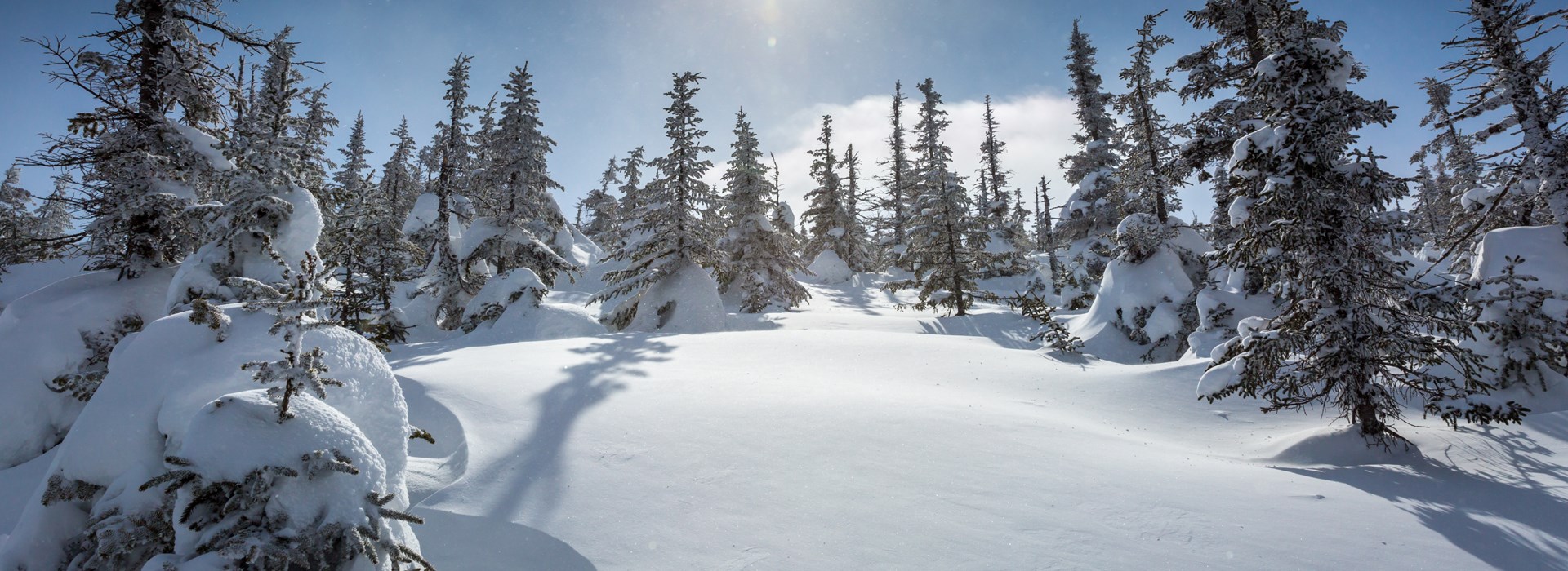 Visiter Le Parc des Appalaches en hiver - Canada