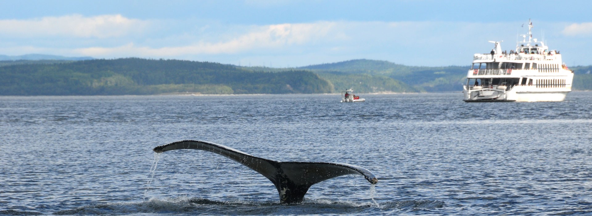 Visiter Le Saint-Laurent en croisière - Canada