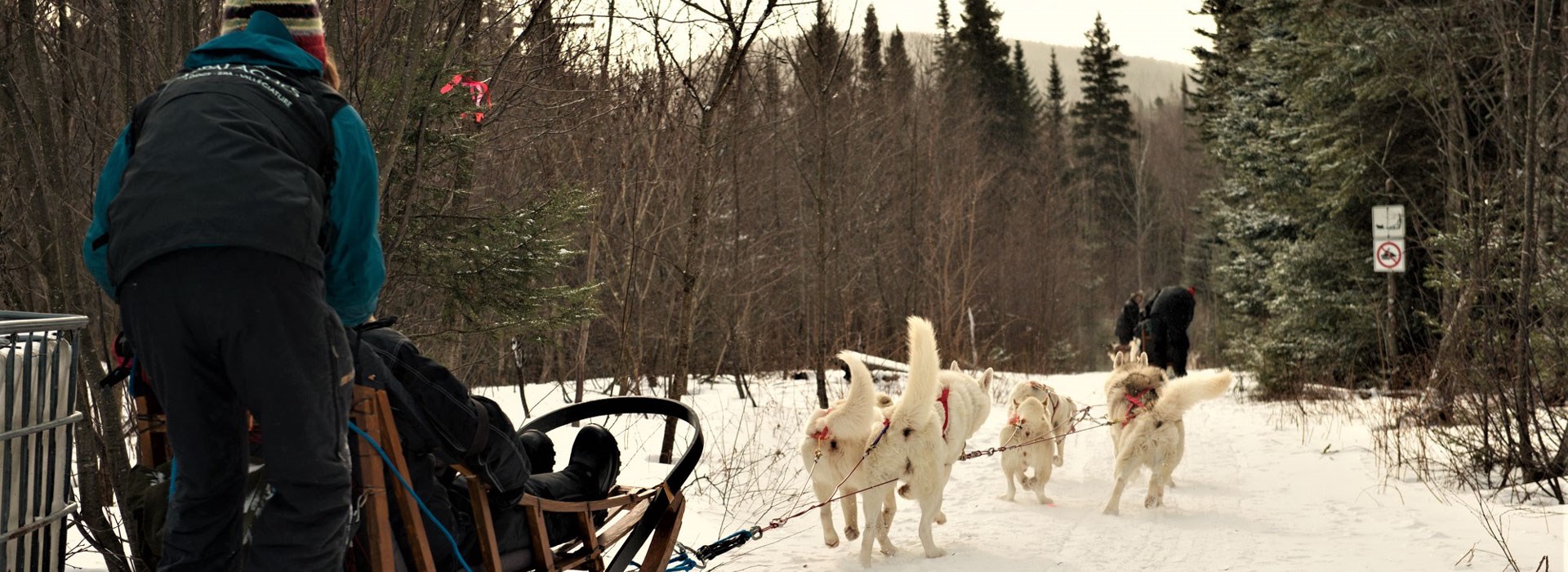 Visiter Le Quebec en traîneau à chiens - Canada