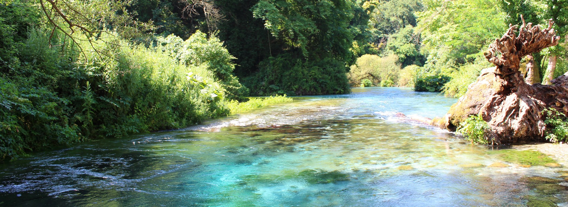 Visiter L’œil bleu - Albanie