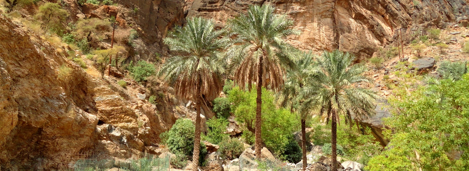 Visiter Wadi Bani Awf - Oman