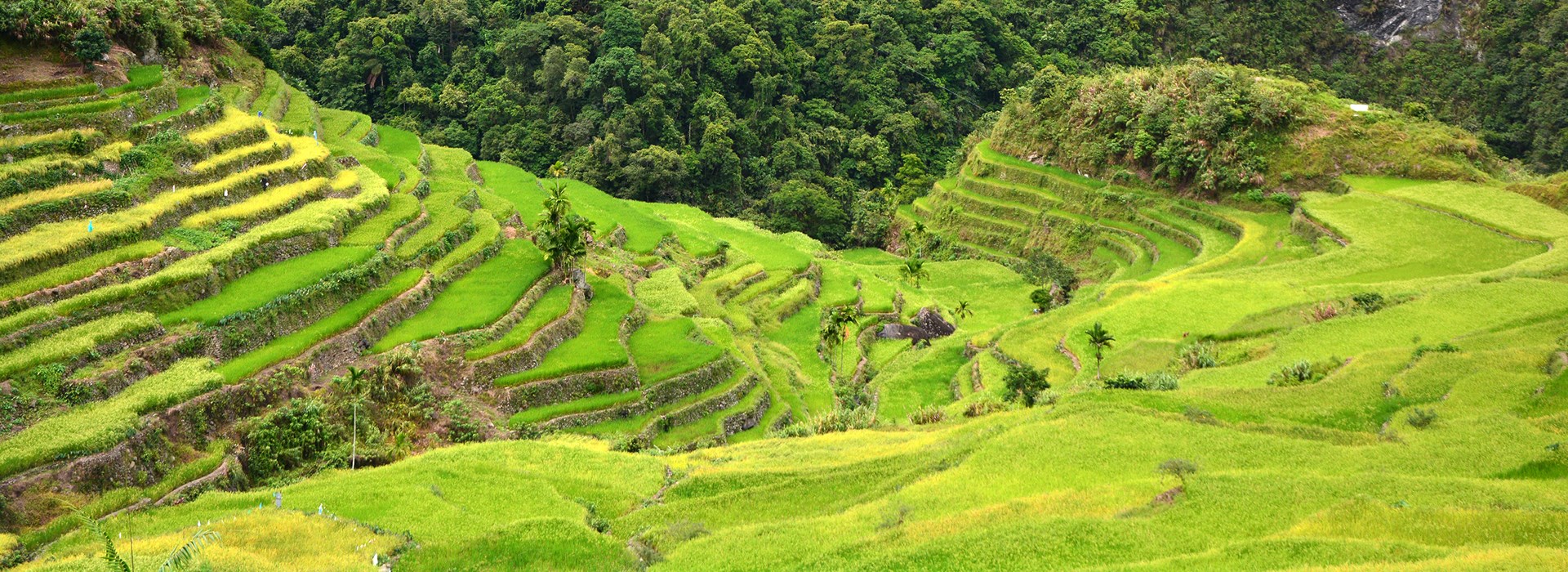 Visiter Batad - Philippines