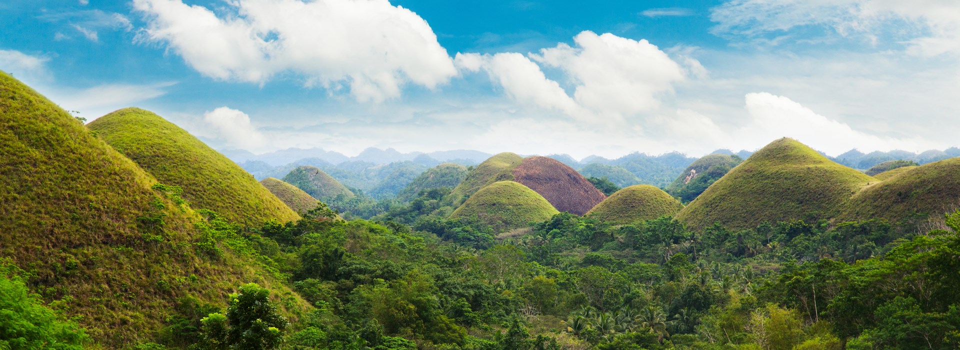 Visiter Les collines de Chocolat - Philippines