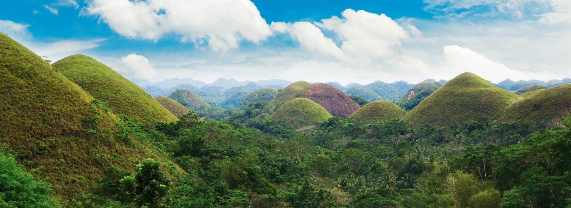 Visiter Les collines de Chocolat - Philippines