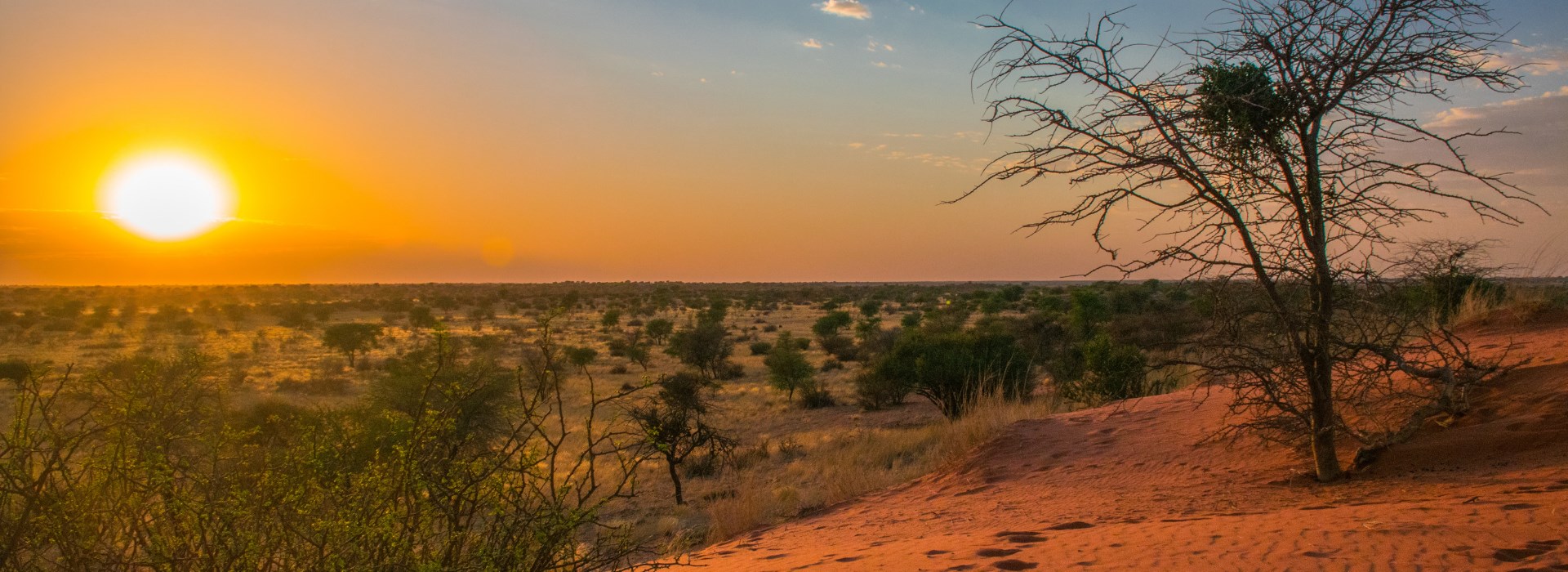 Visiter Le désert du Namib - Namibie