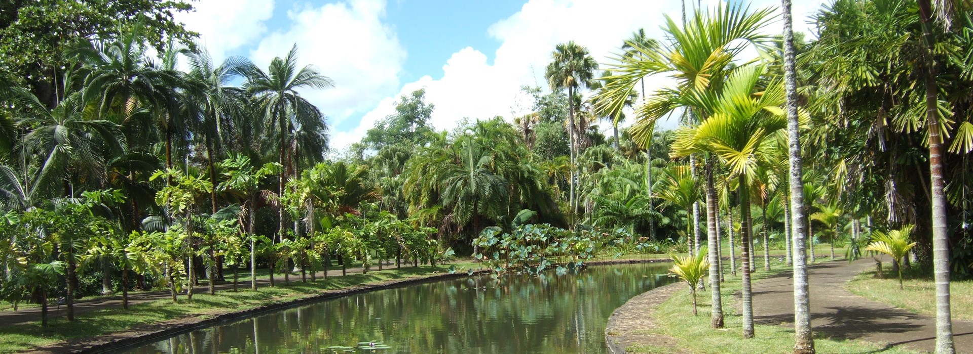Visiter Le jardin des Pamplemousses - Ile Maurice