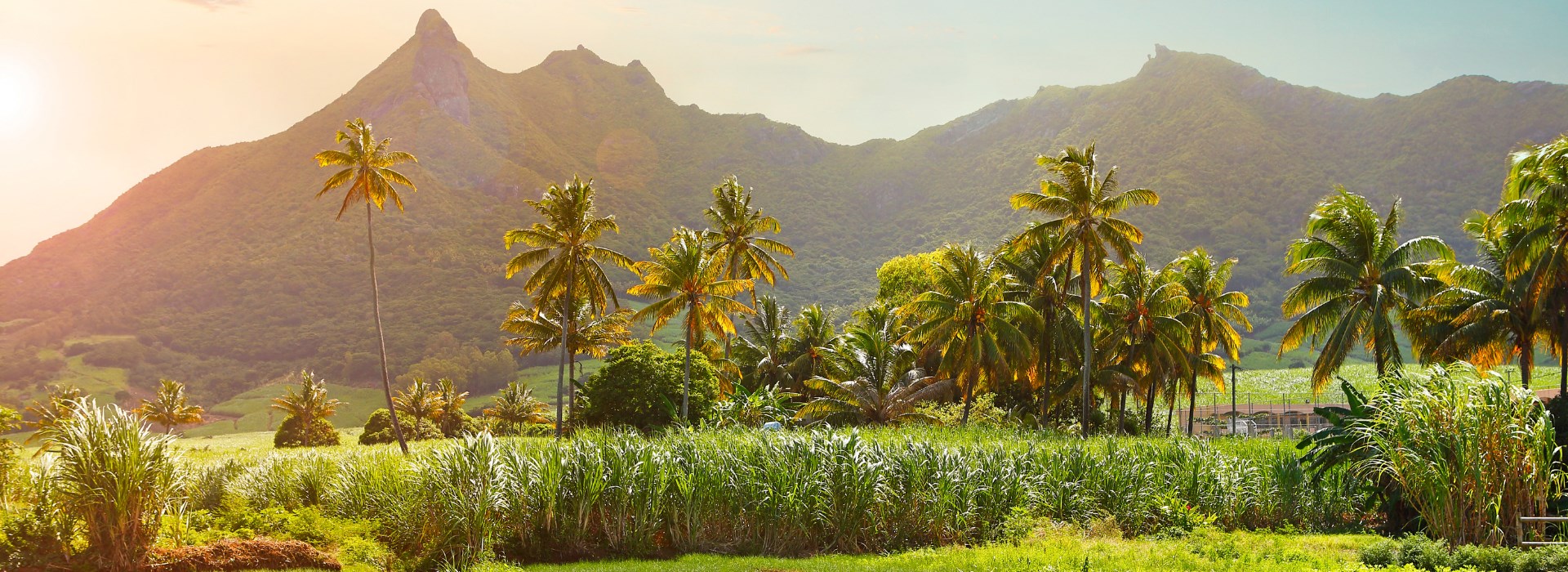 Visiter Curepipe et trou aux cerfs - Ile Maurice