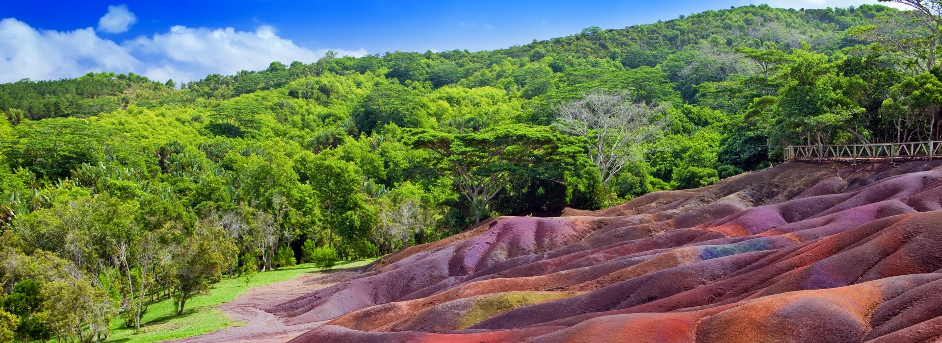 Visiter La région de Chamarel et la terre des sept couleurs - Ile Maurice