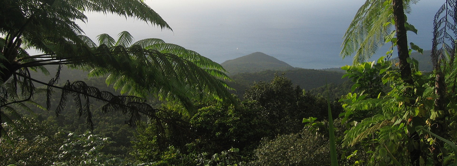 Visiter Basse Terre - Guadeloupe