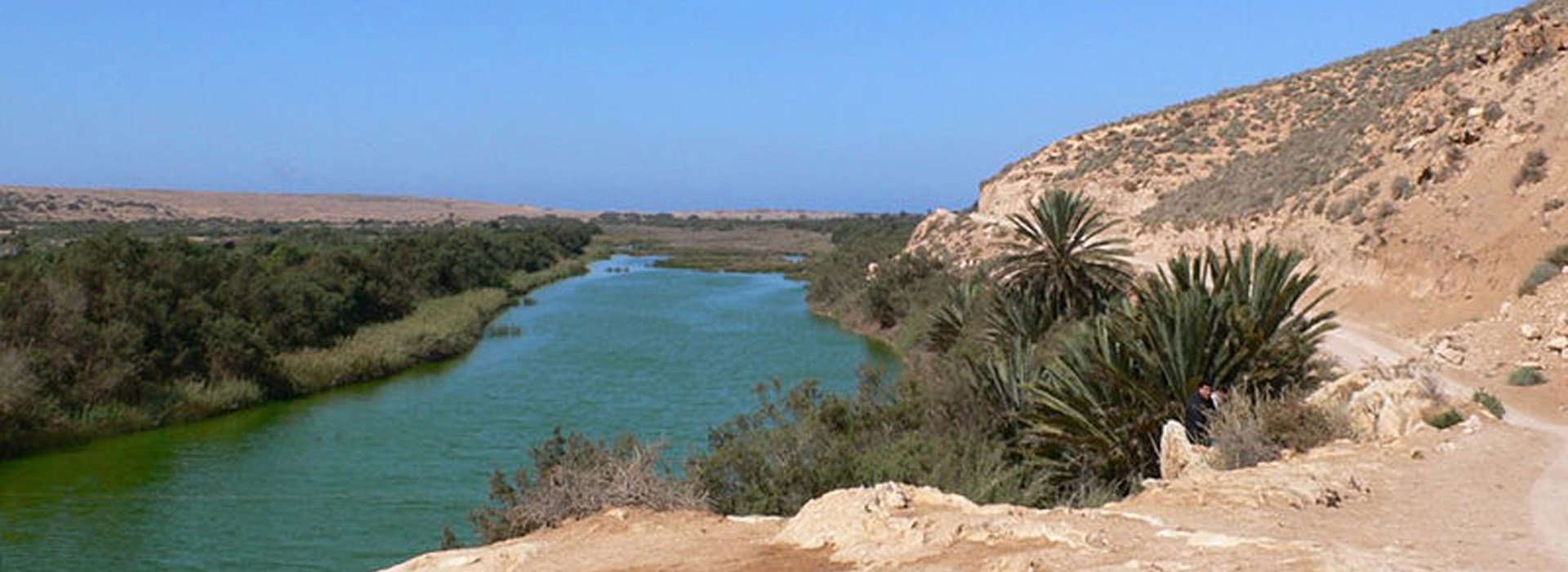 Visiter Le parc national de Souss Massa - Maroc