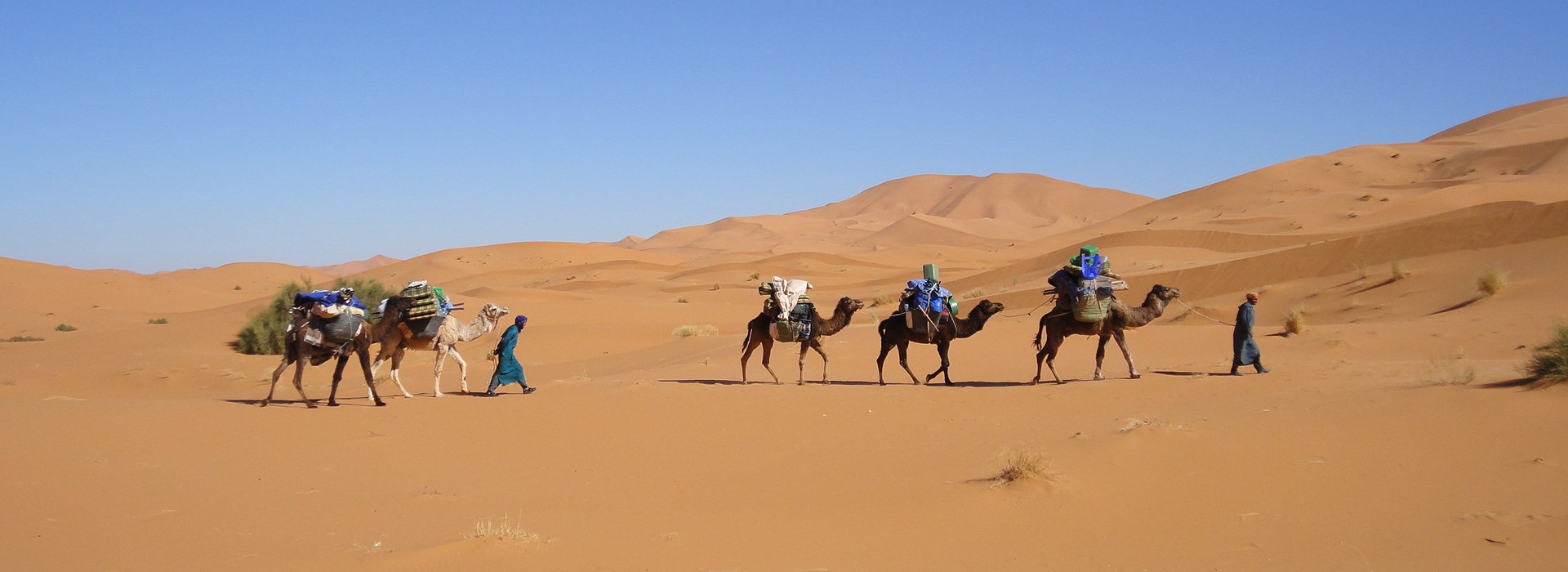 Visiter Les dunes de Nesrate - Maroc