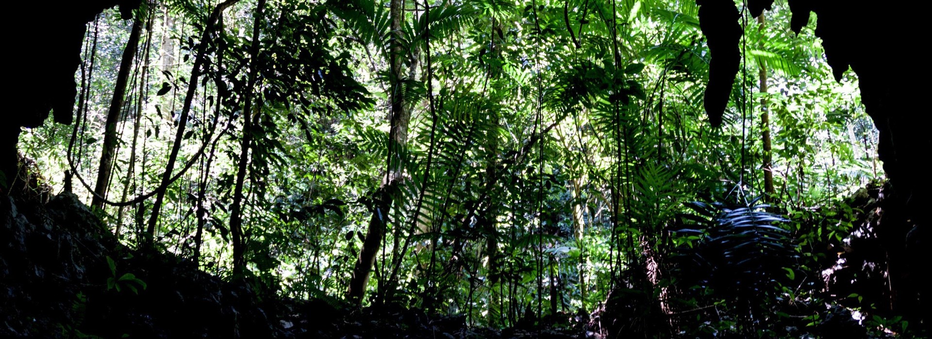 Visiter  Les grottes de Candelarias - Guatemala