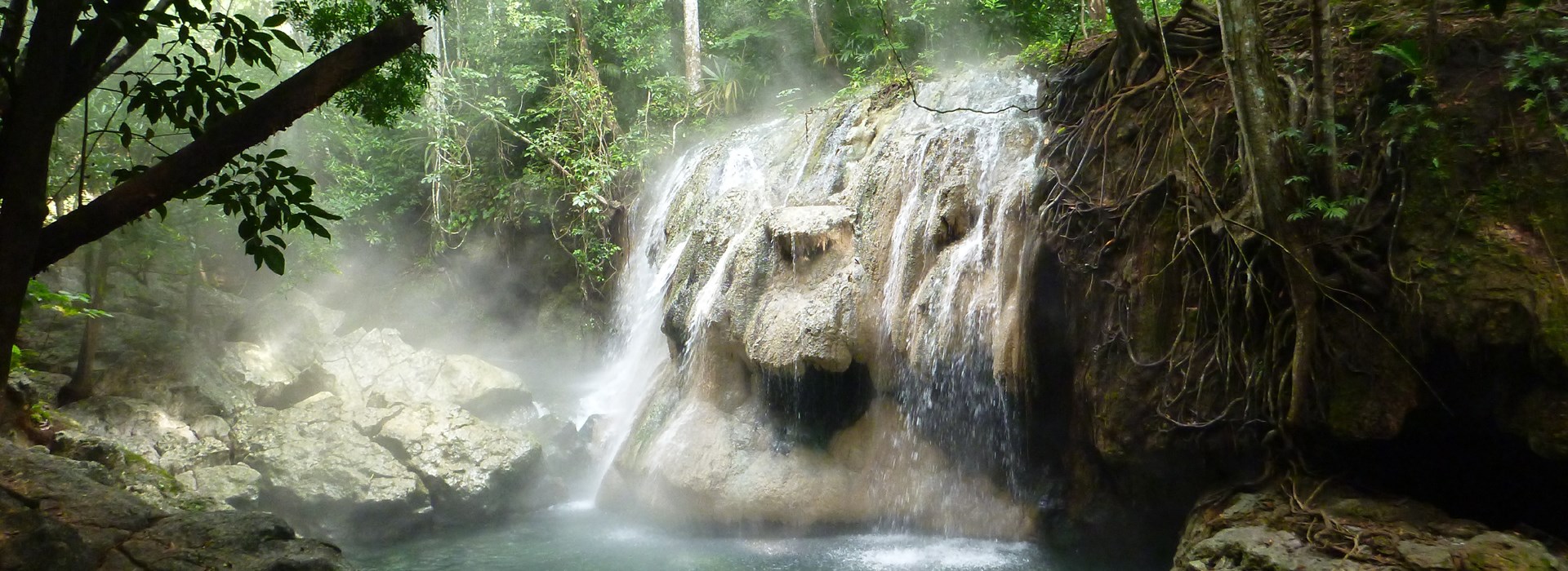 Visiter Finca el Paraiso  - Guatemala
