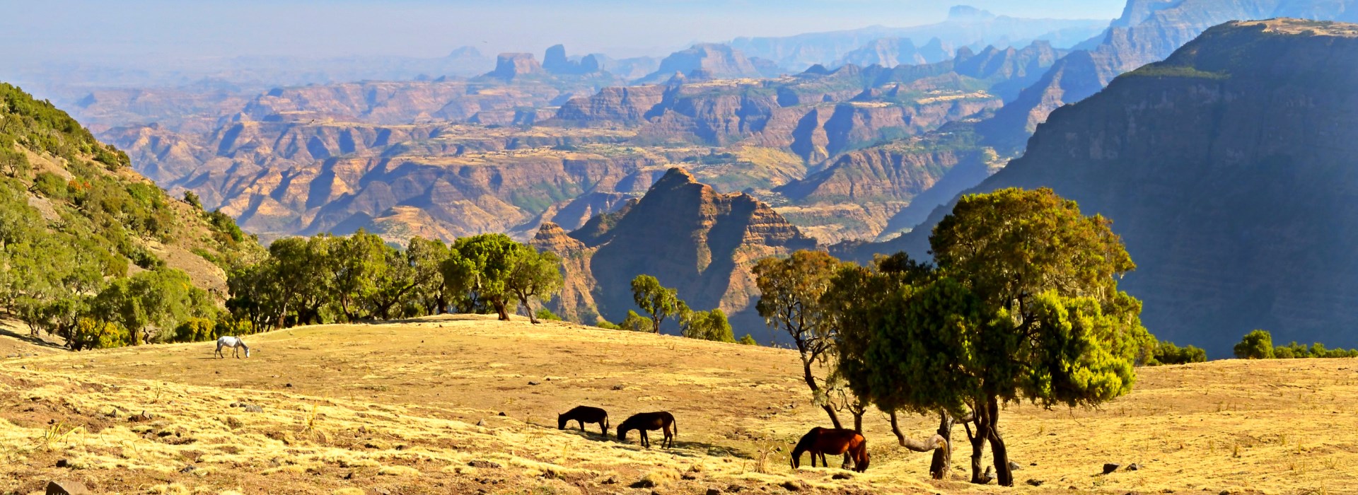 Visiter Le parc national de Simien - Ethiopie