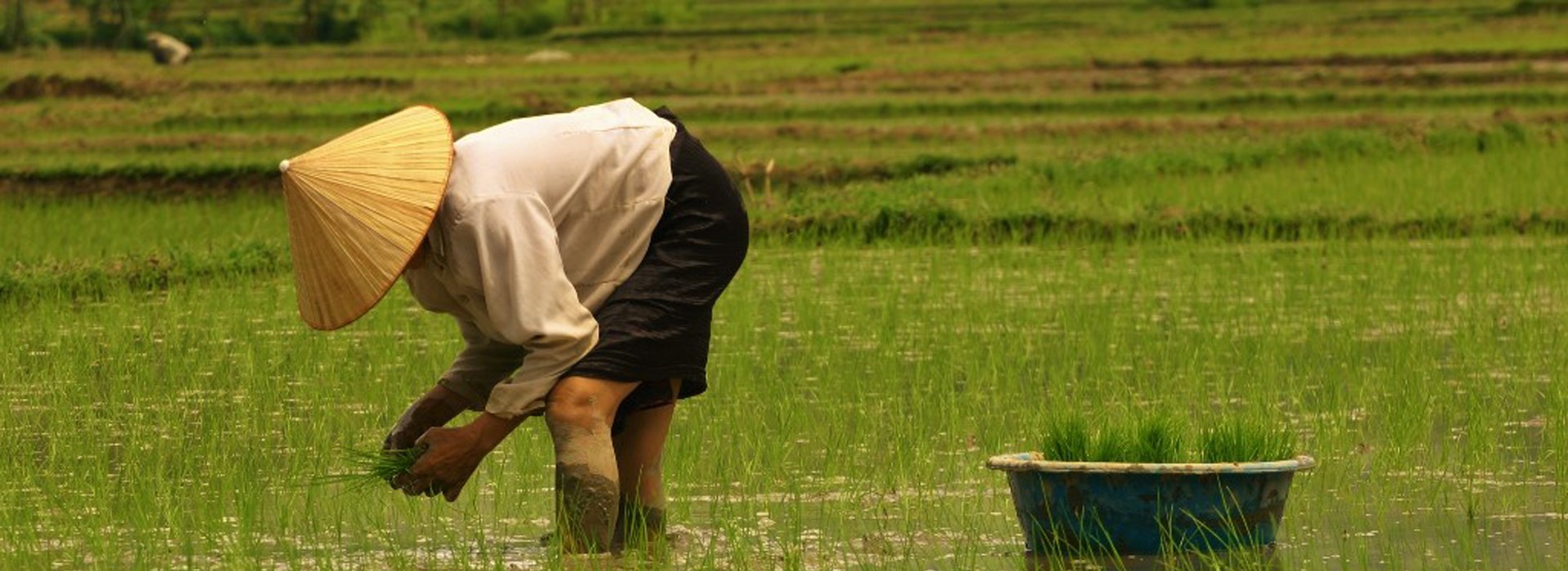 Visiter La Province de Lao Cai - Vietnam