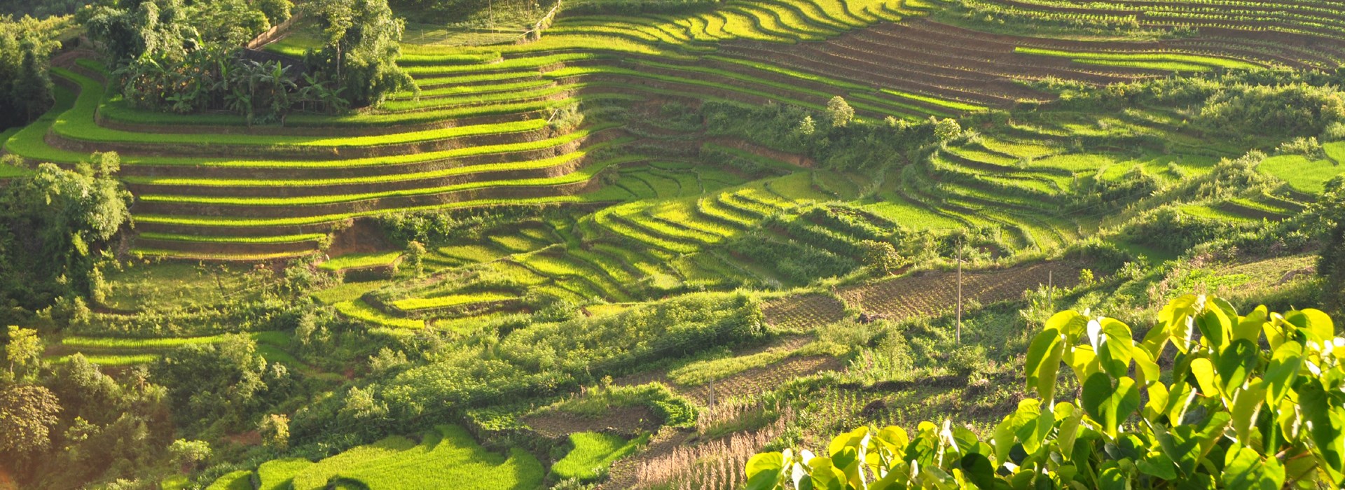 Visiter Trung Chai - Vietnam