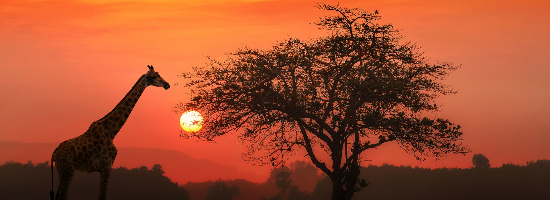 Visiter Le cratère du Ngorongoro - Tanzanie