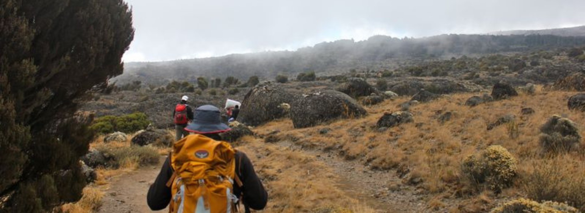 Visiter Le Camp de Machame Hut - Tanzanie