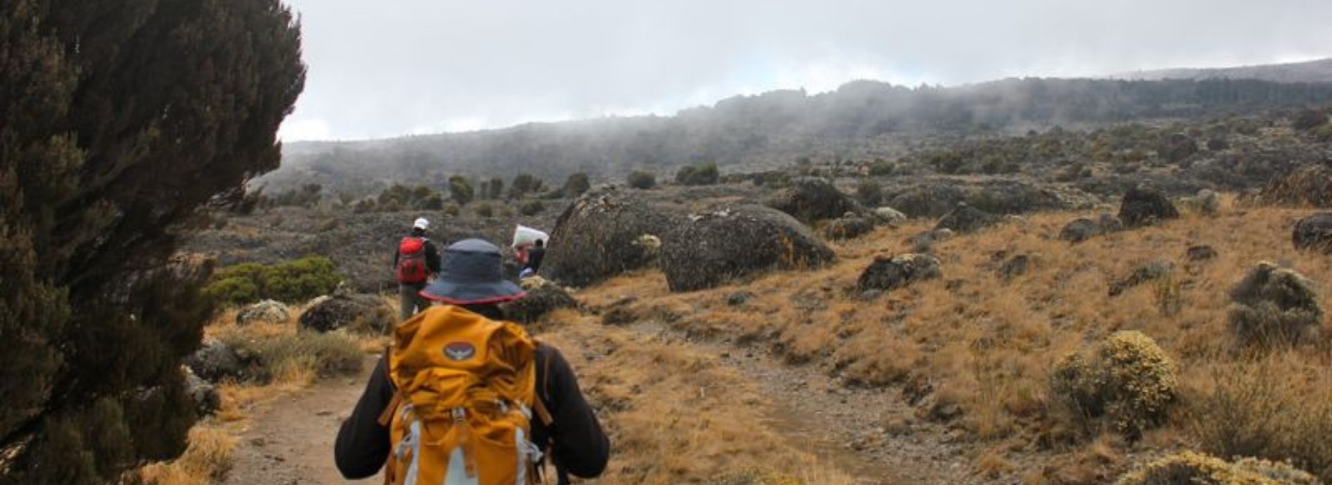 Visiter Machame Hut, Tanzanie - A faire, à voir à Machame ...