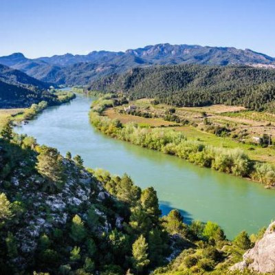 que faire au Portugal : visiter La Réserve Naturelle du Tage