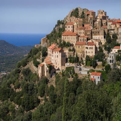 que faire en Corse : visiter Le maquis corse