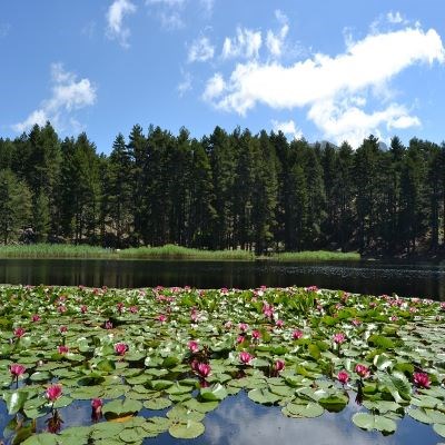 que faire en Corse : visiter Le lac de Creno