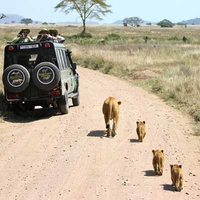 que faire en Tanzanie : visiter La région de Ndutu