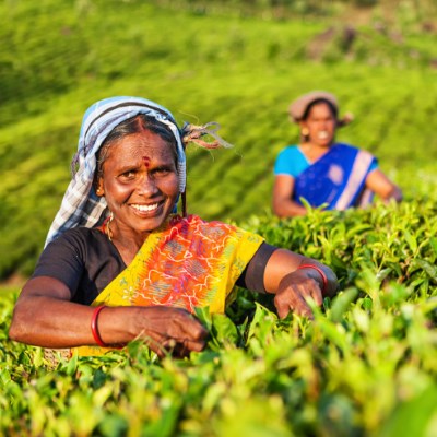 que faire au Sri Lanka : visiter Le village de Medagama