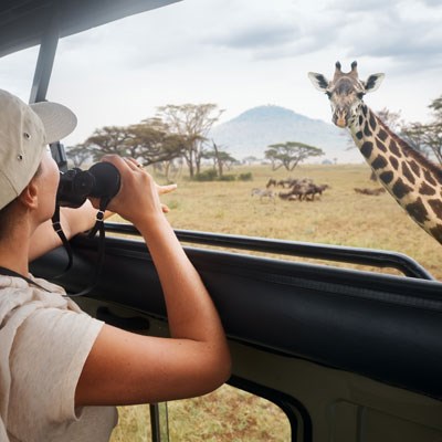 que faire en Tanzanie : visiter Le Parc National du Serengeti