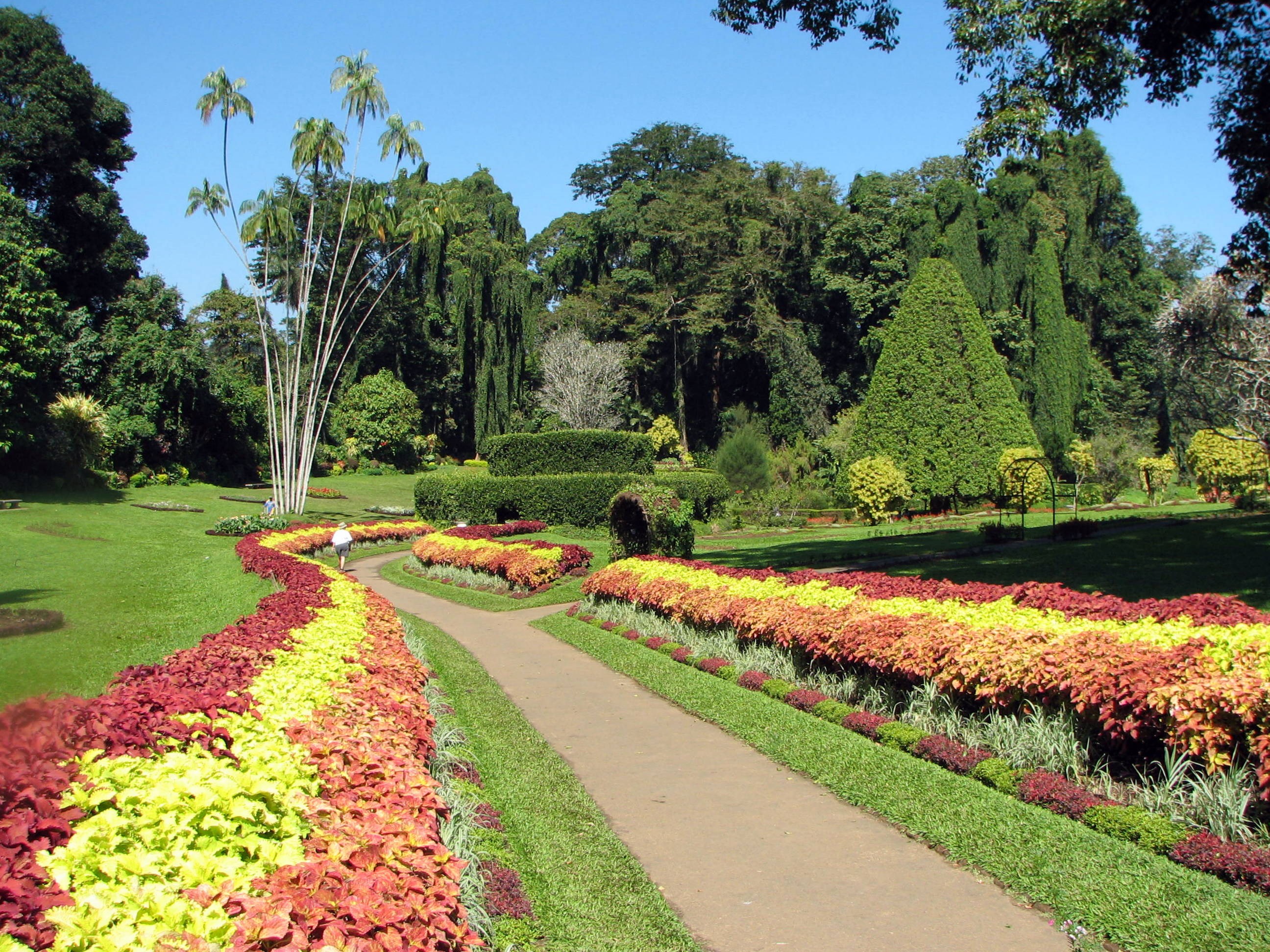 peradeniya botanical garden essay grade 8