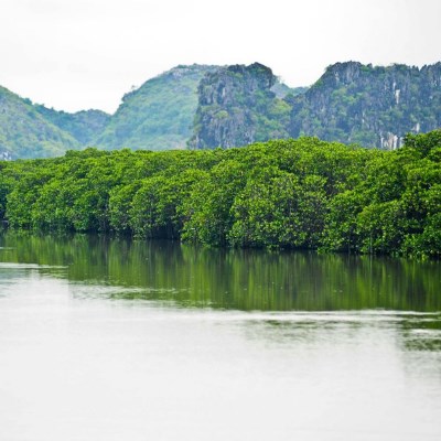 que faire au Vietnam-Cambodge : visiter Phu Long (Vietnam)