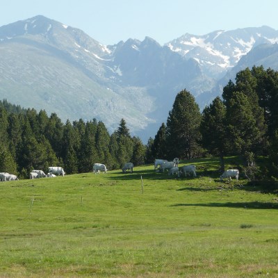 que faire en Occitanie : visiter Le plateau de Beille 