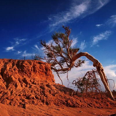 que faire en Mongolie : visiter Les Falaises de Bayanzag