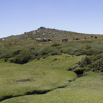 que faire en Corse : visiter Castellu d’Ornucciu