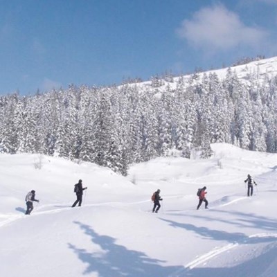 que faire en Rhône-Alpes : visiter Le Vercors en ski de fond