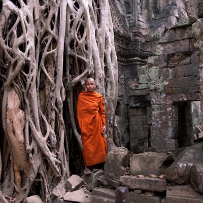 que faire au Vietnam-Cambodge : visiter Le Temple de Ta Promh (Cambodge)